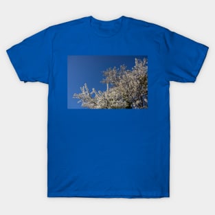 White blossoms. T-Shirt